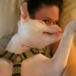 Meet your Posher, Sarah